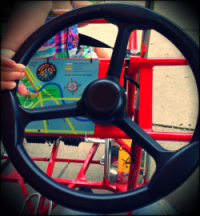 Steering Wheel