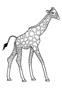 giraffee coloring page